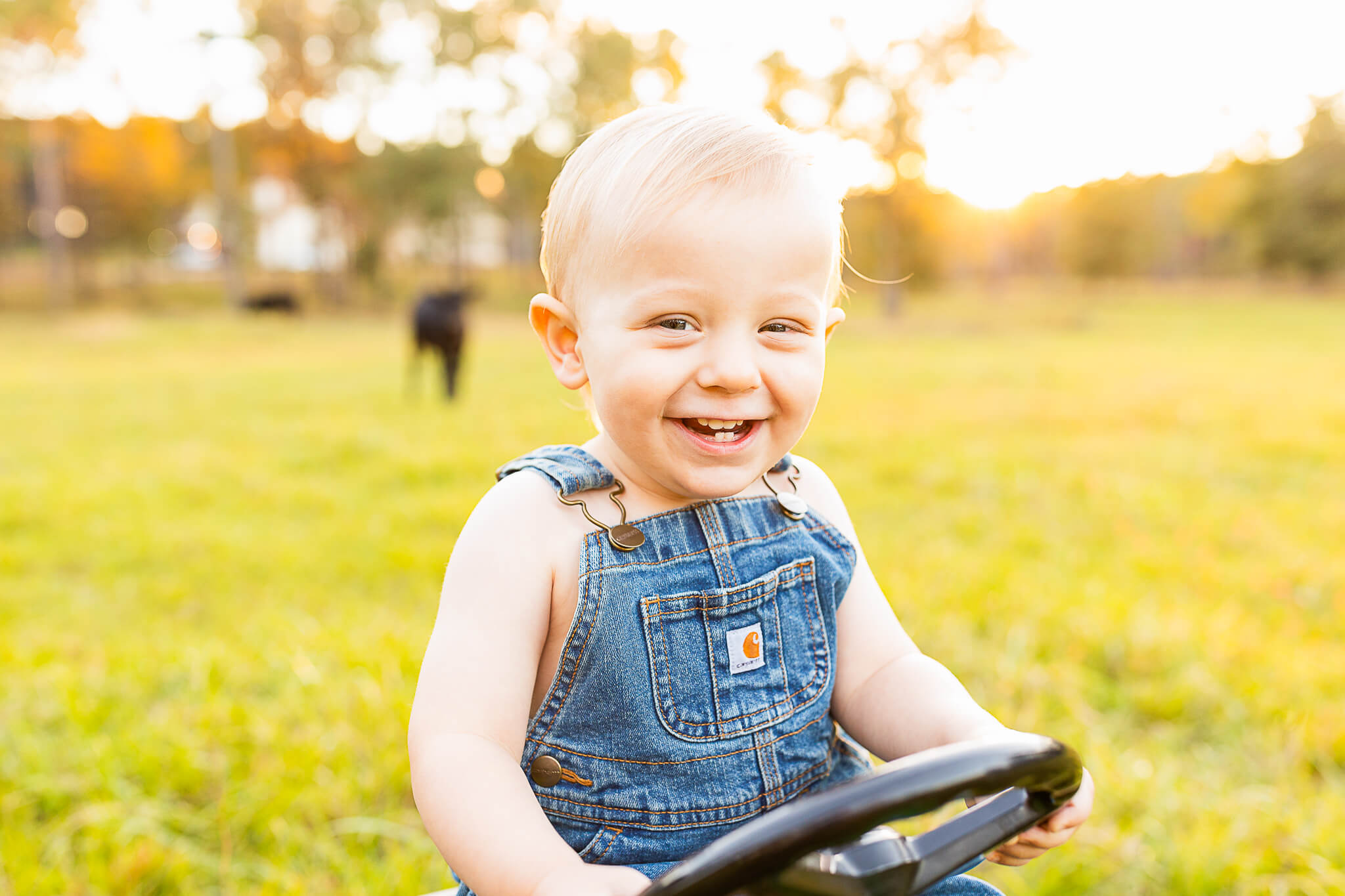 little boy in blue overalls laughing in a field